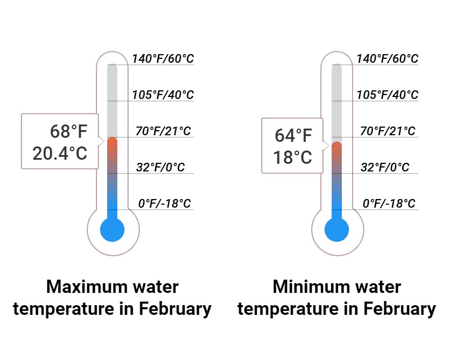 Average Sea temperature